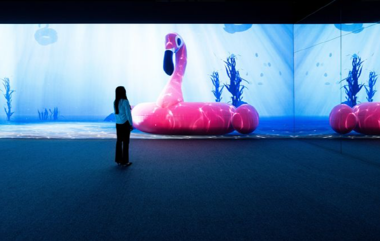 여수 아르떼뮤지엄