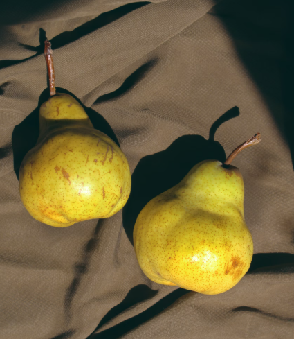 배의 효능 영양성분 부작용