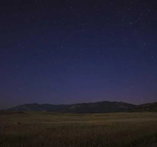 티앤알바이오팹