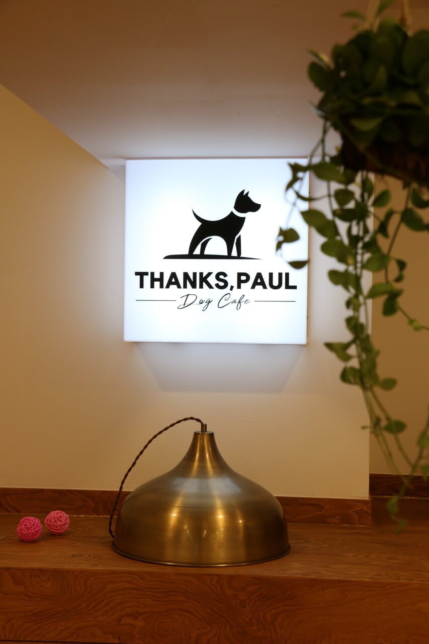 하남 & 경기 광주 반려견 동반 공간 Best 6 : 입장료, 위치, 시간까지 한눈에!