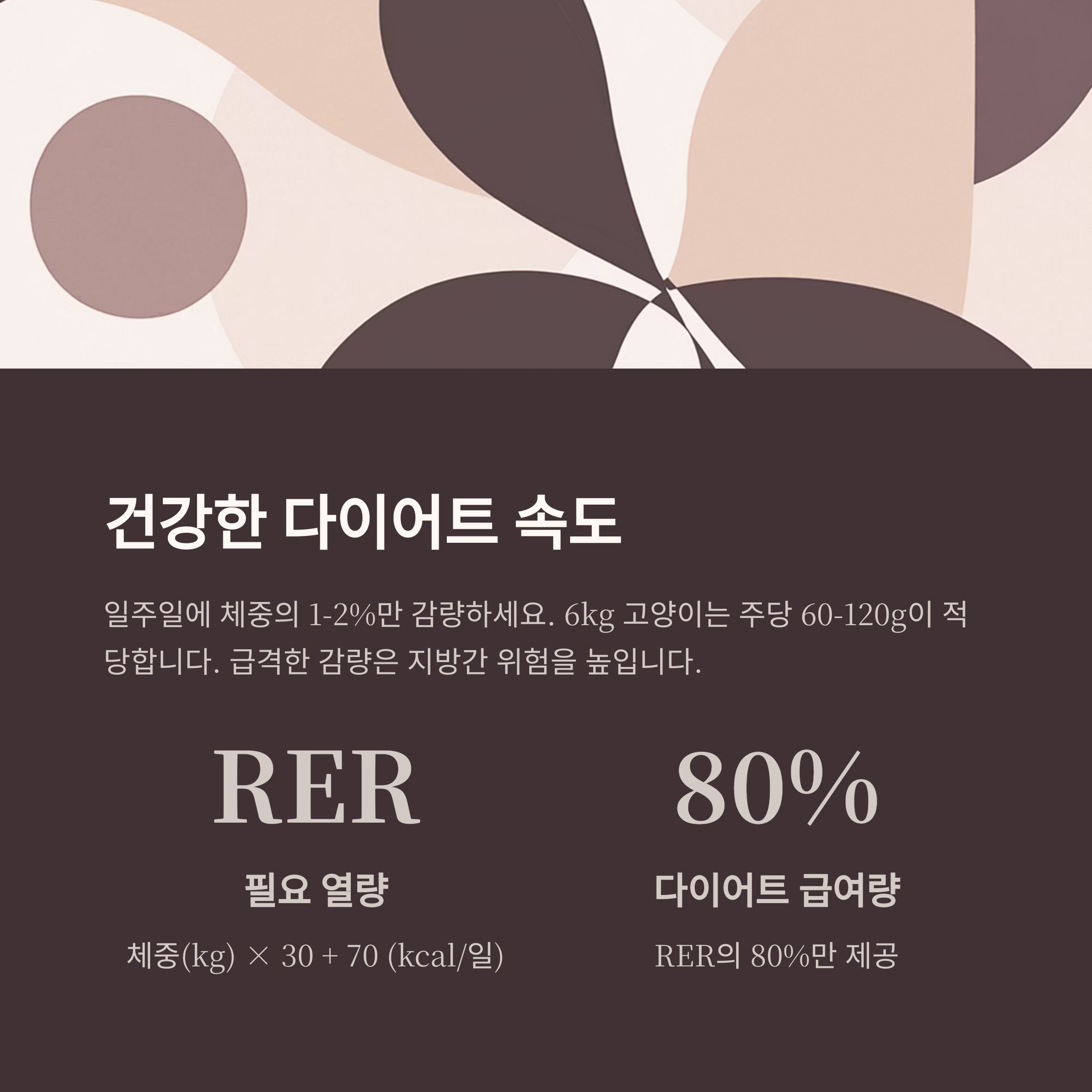 건강한 다이어트 속도
