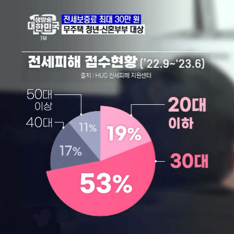 전세사기-접수현황