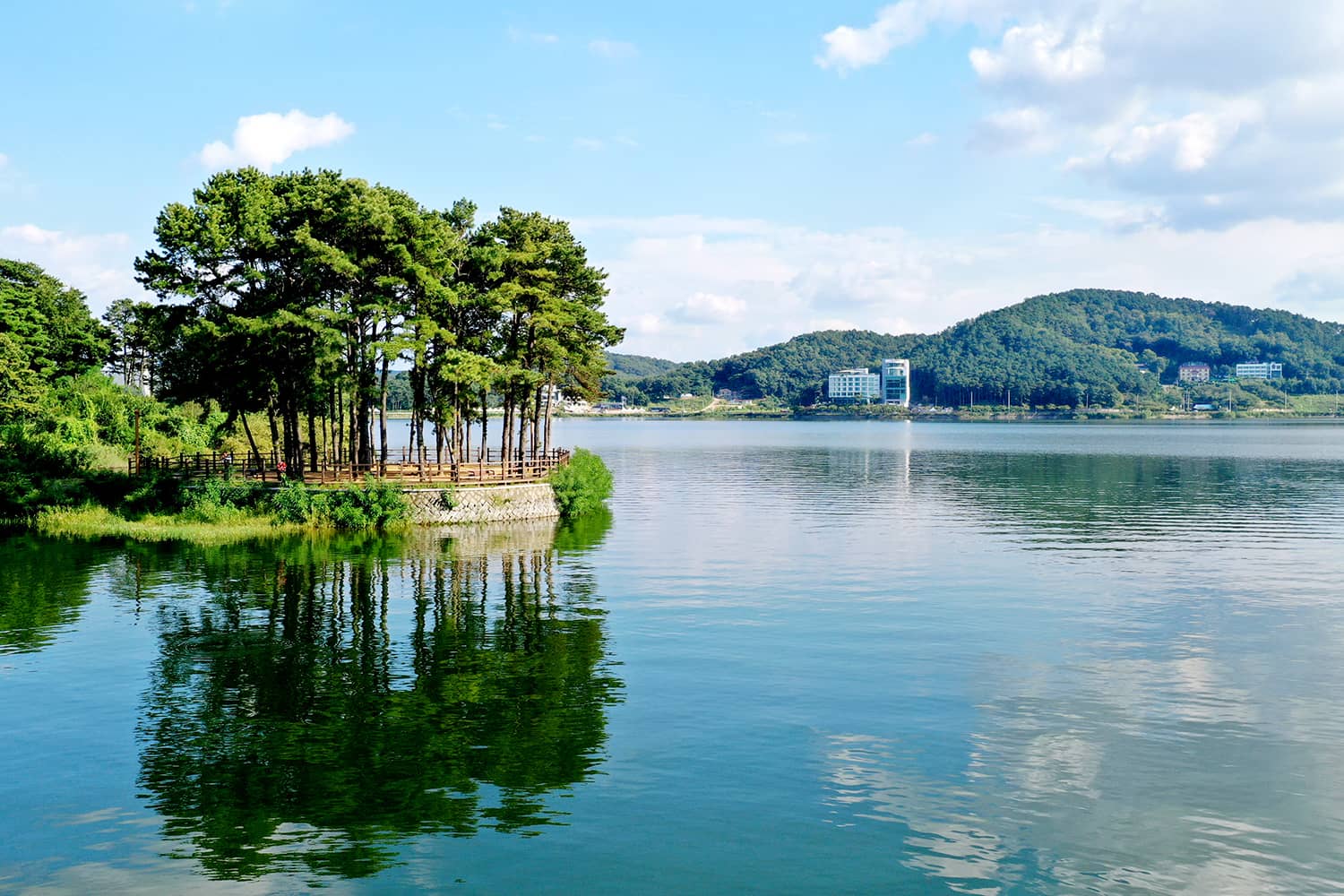 제2경 탑정호와 출렁다리