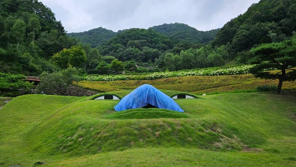 남양주 금선사 : 6만평의 자연공원과 갤러리 자연과 수행이 어우러진 사찰