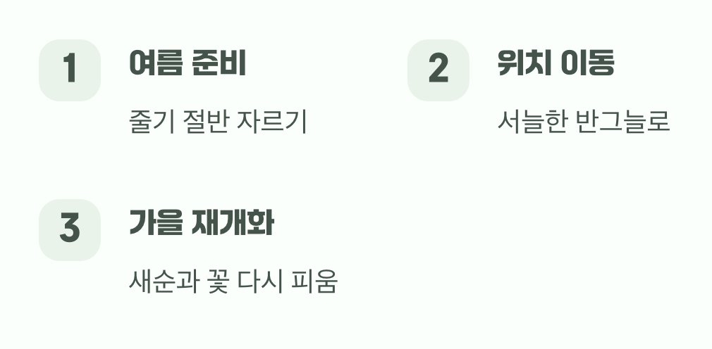 가을에 다시 만나는 기쁨