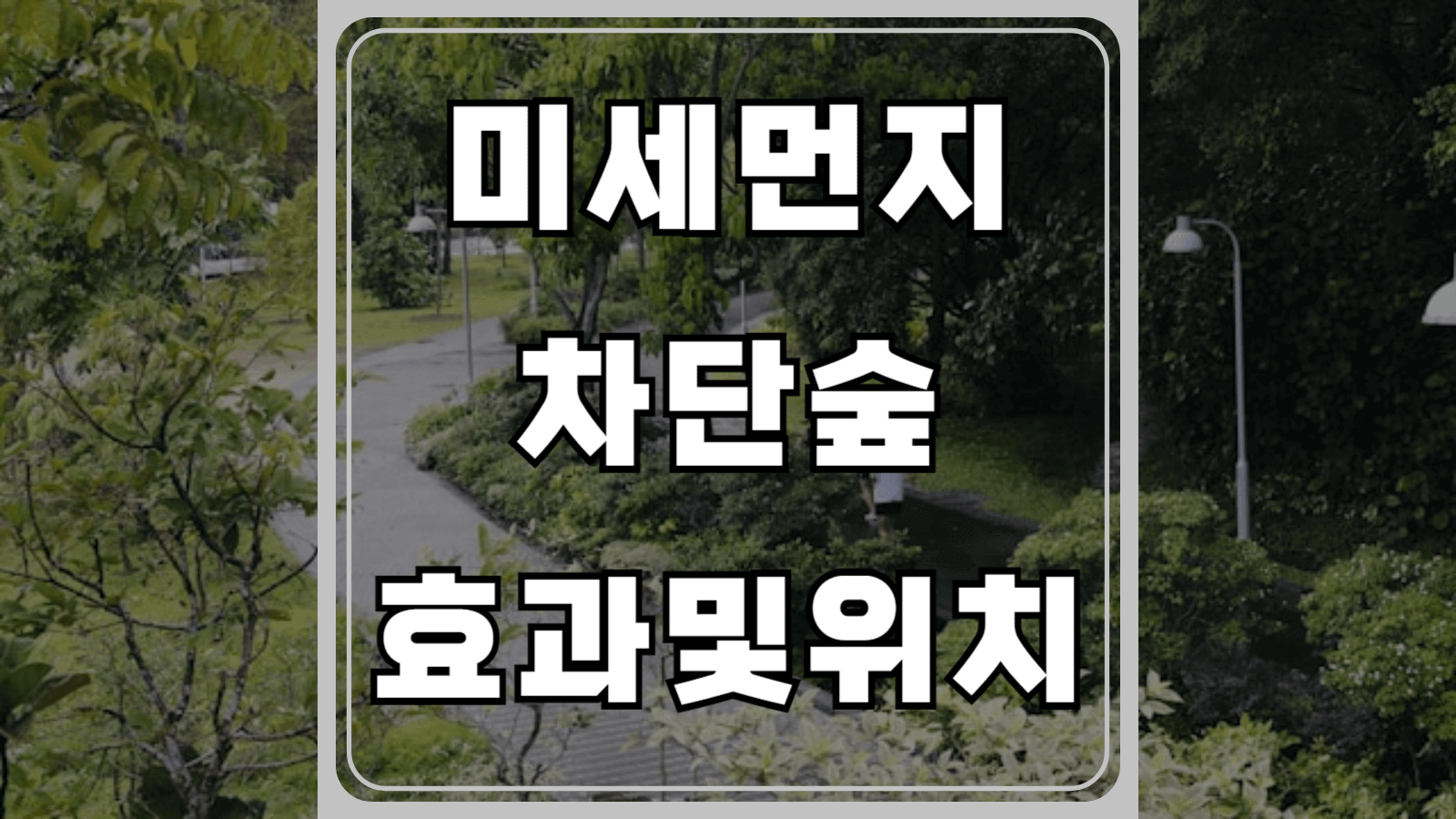 미세먼지 차단숲 효과 및 위치