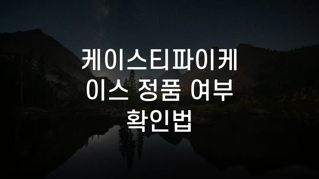 케이스티파이케이스 정품 여부 확인법