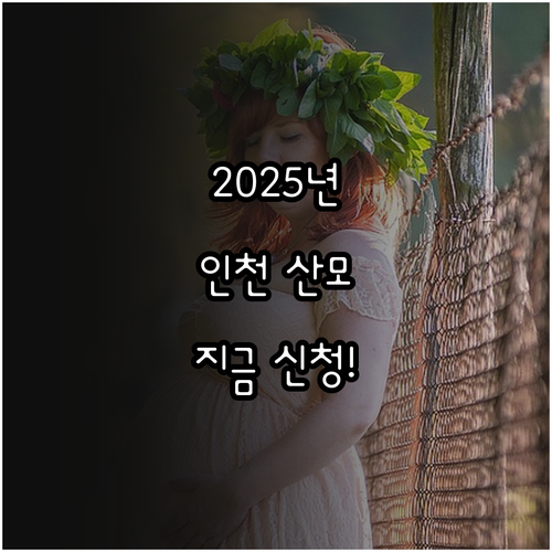 2025년 인천 산모신생아 건강관리 ..