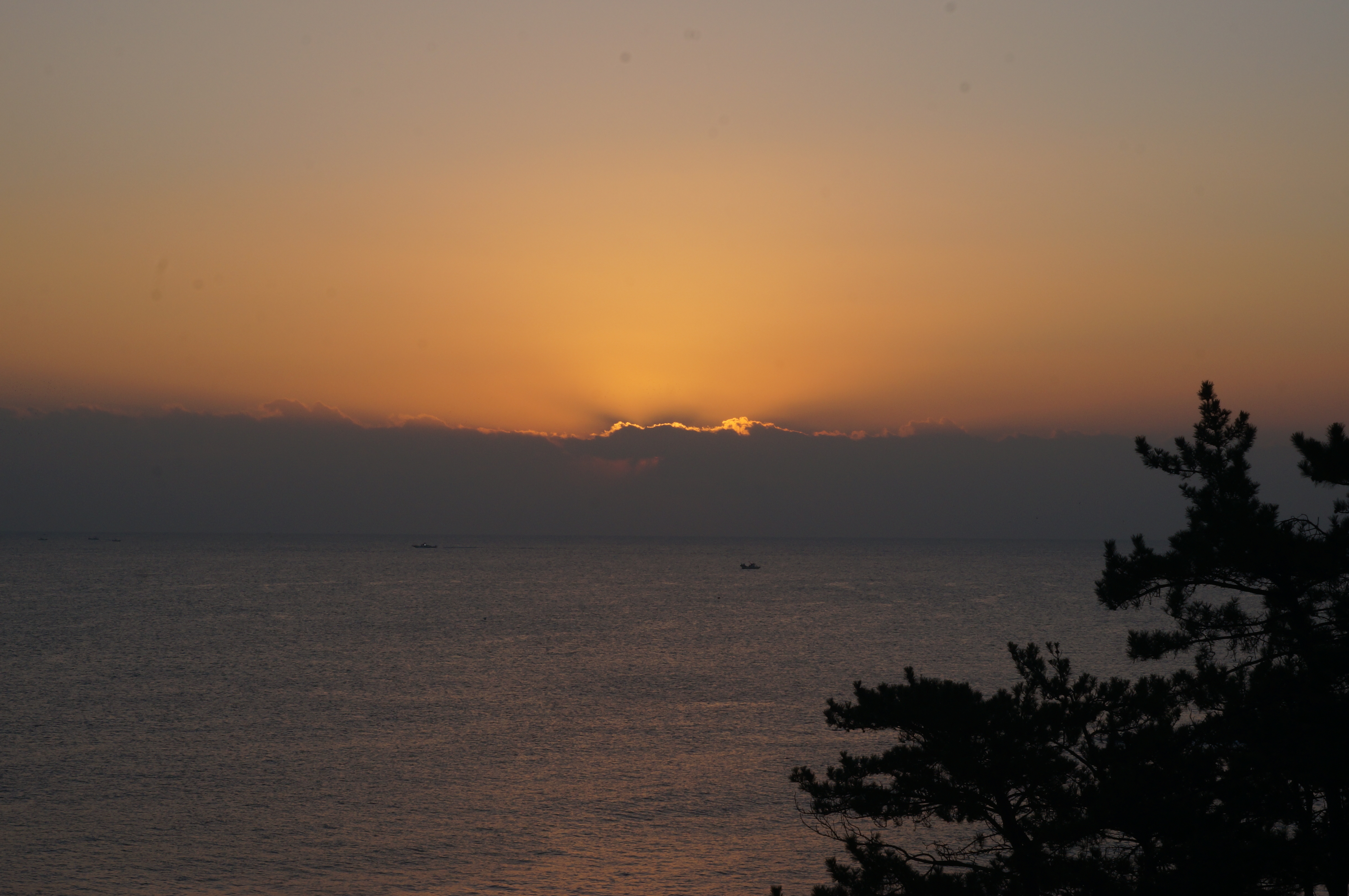 50대 주부 창업 아이템