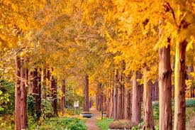 2025년 아파트 샷시 교체비용&amp;#44; 정부 지원