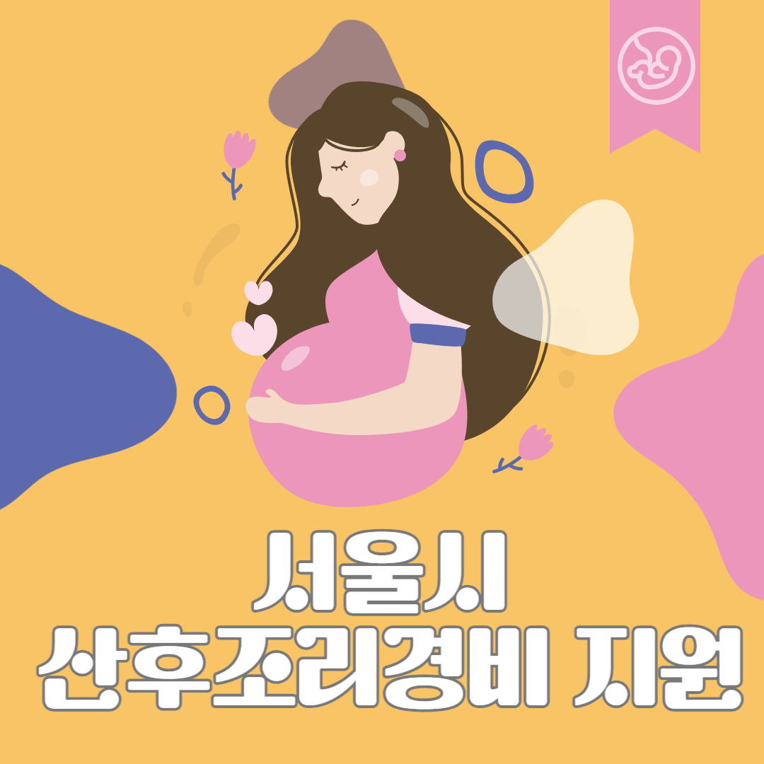 서울시서울시 산후조리경비 지원 혜택 받기