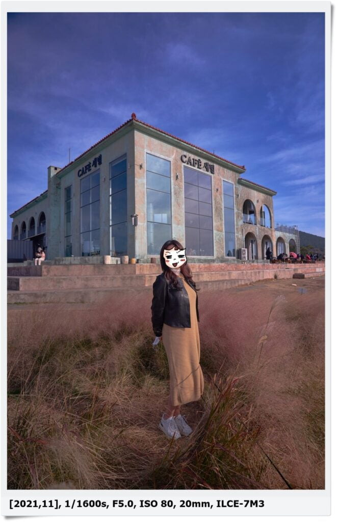 제주 카페 새빌 핑크뮬리와 새별오름 풍경