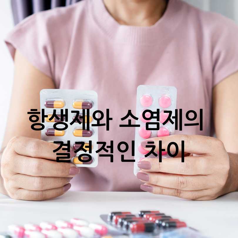 항생제와 소염제 차이