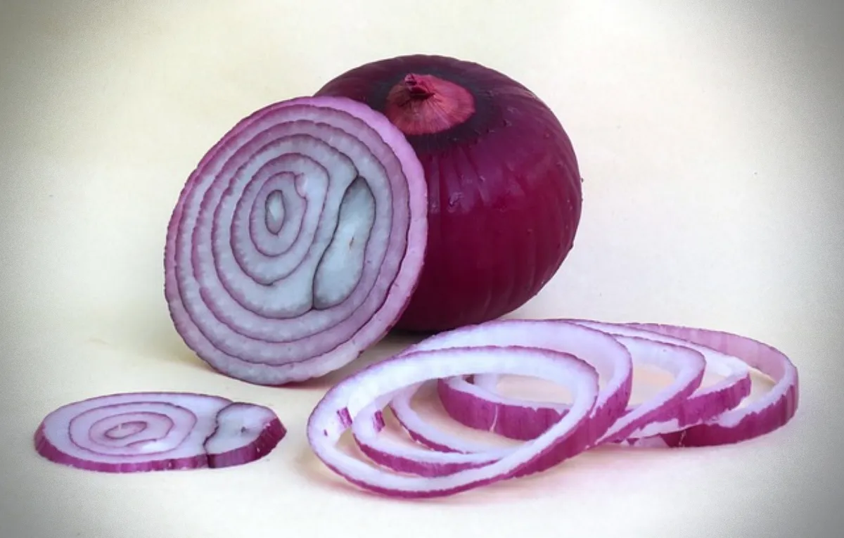 고양이가-먹으면-안-되는-위험한-음식-양파-슬라이스