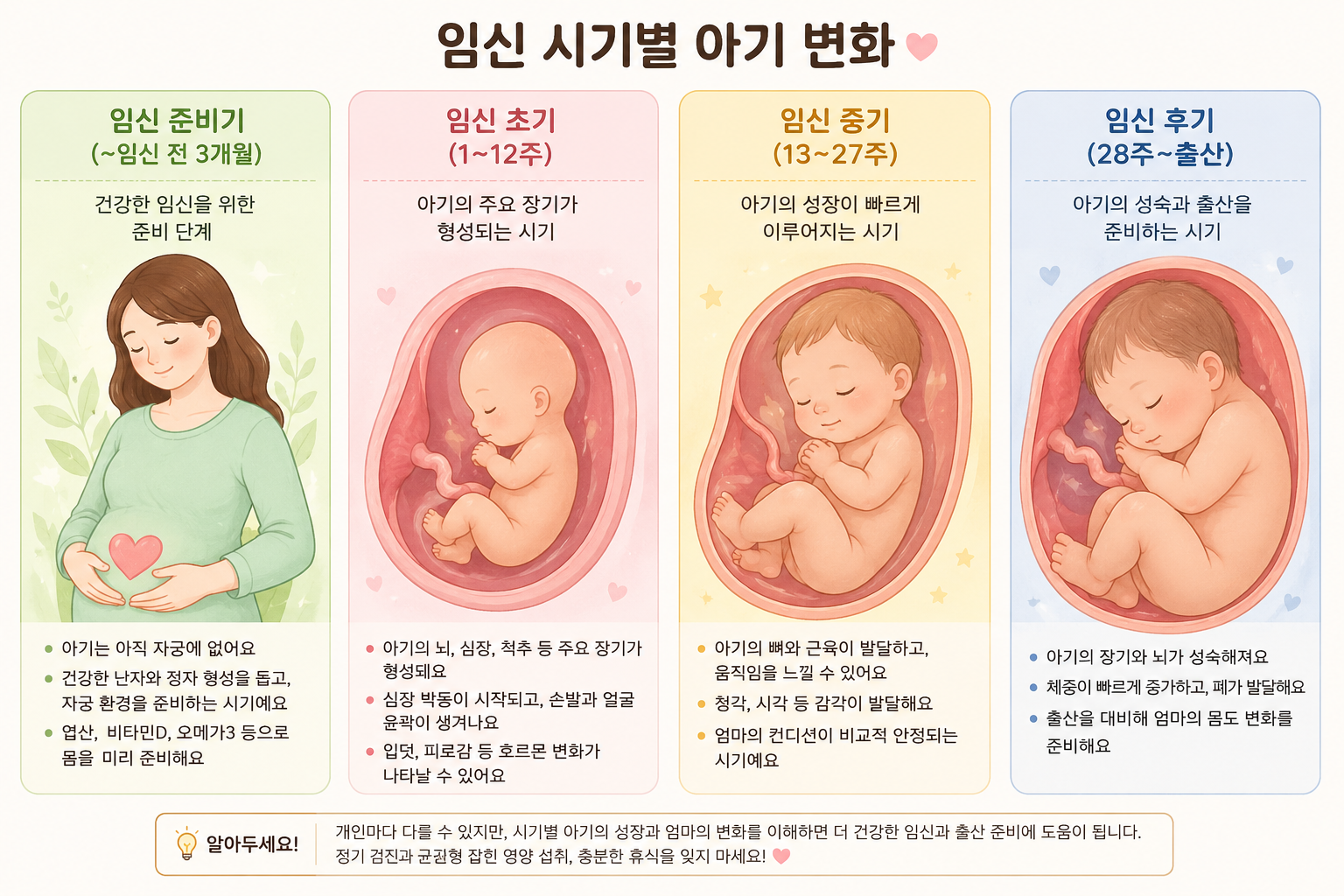 임신 주수 별 아기의 변화