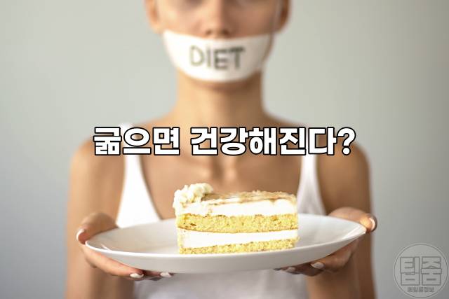 오토파지 단식 다이어트 오토파지주스 만드는법