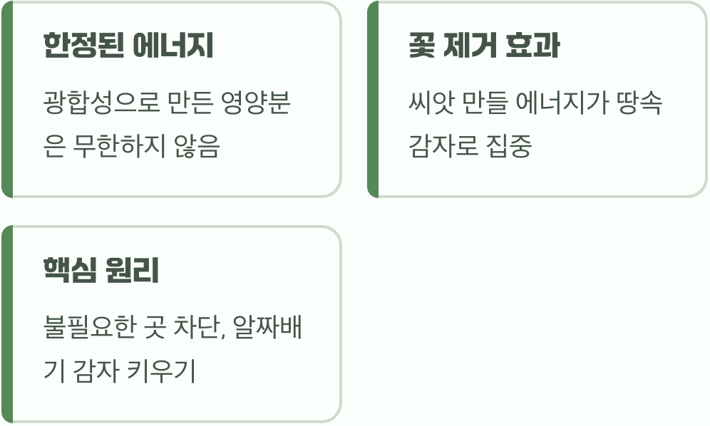 에너지의 재분배, 땅속으로 힘을 모으다