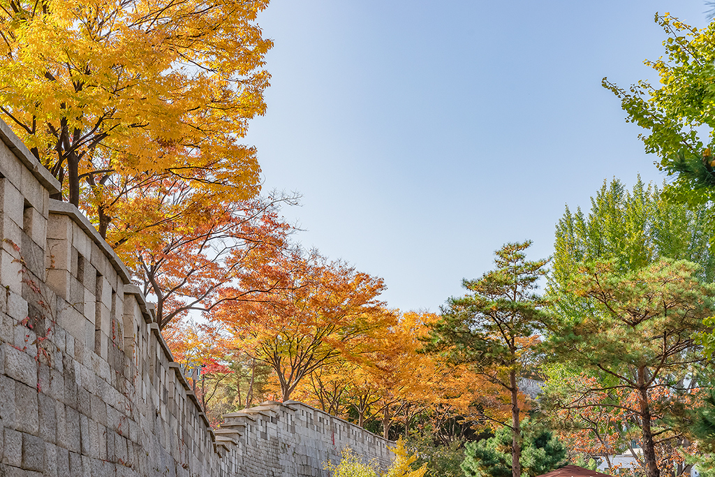 혜화문
성북동
한양도성길
백악구간
서울여행
서울단풍
가을단풍
단풍