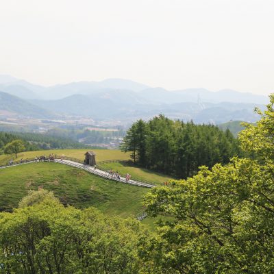 대관령 양떼목장