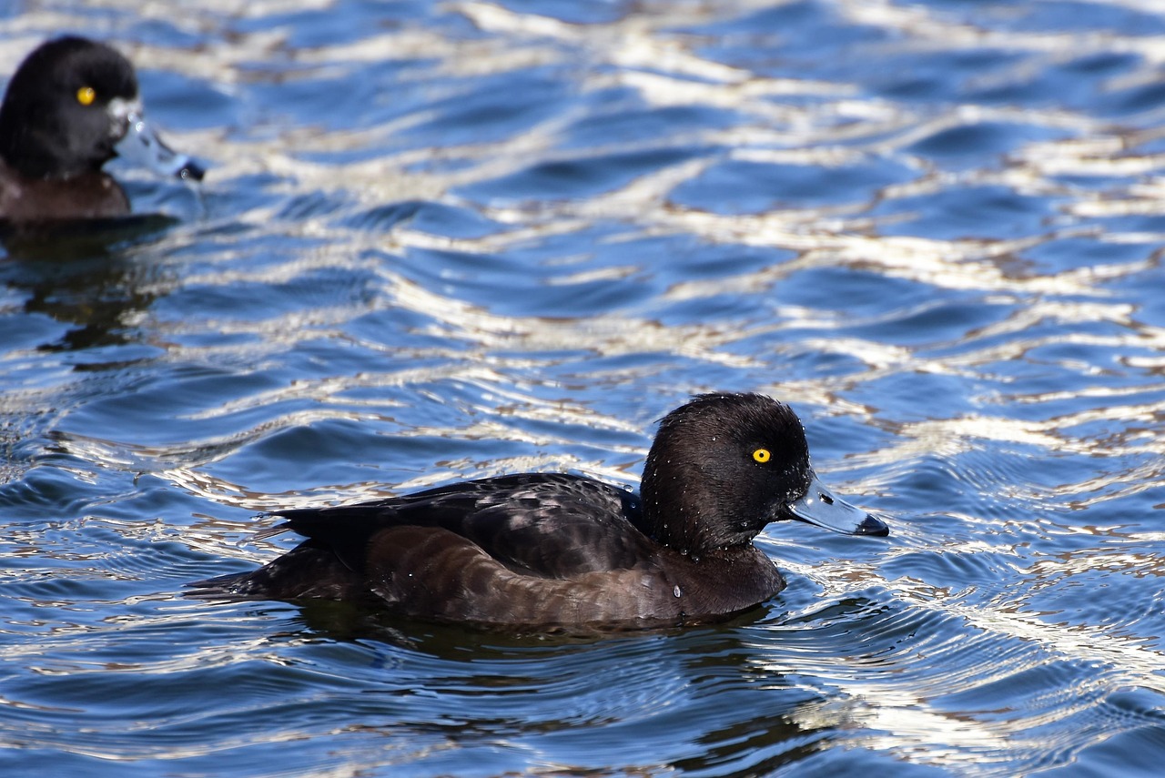 2025 실수령액 계산기