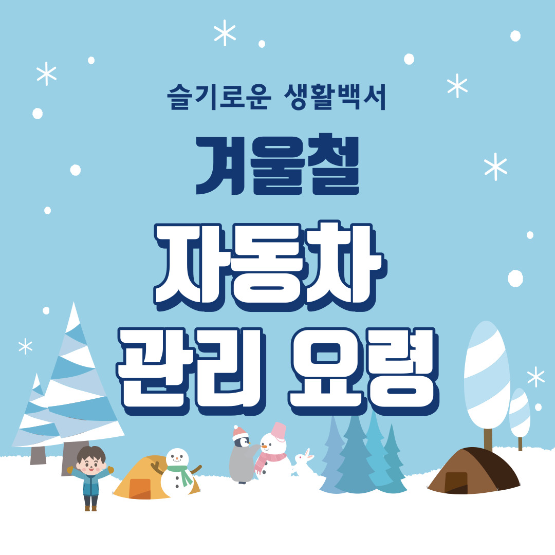 자동차 관리