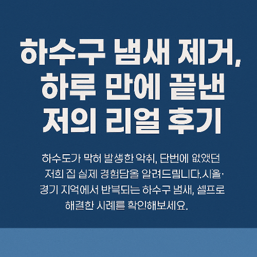 하수구 냄새 제거, 하루 만에 끝낸 저의 리얼 후기 (서울, 경기)