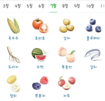 7월 제철 과일 고르는 법과 가장 맛있게 먹는 팁 소개_3