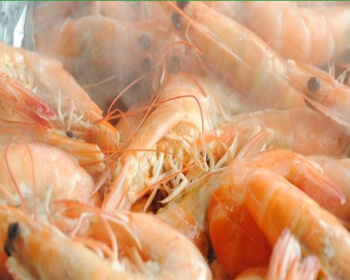 남당항 대하축제_4