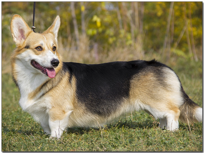 ๋ค๋ฅผ ๋ณด๊ณ ์๋ ์ฐ์์ฝ๊ธฐ