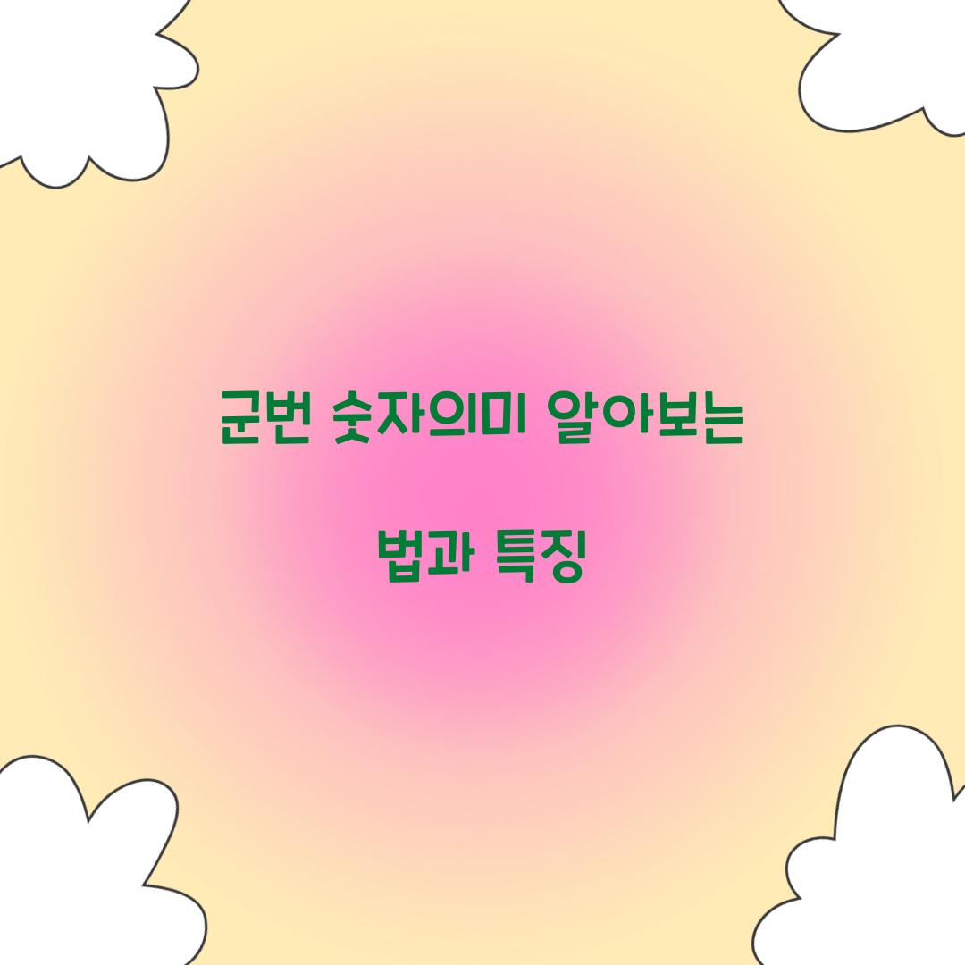군번 숫자의미