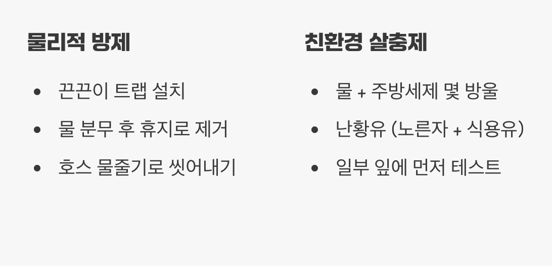 독한 약 없이 물리치는 친환경 방제법