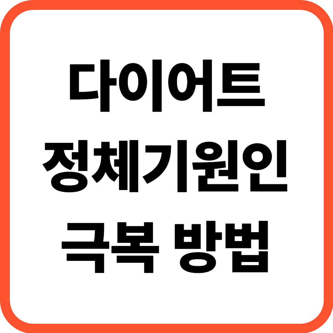다이어트 정체기 원인과 극복 방법, 지금 이걸 안 하면 계속 멈춥니다