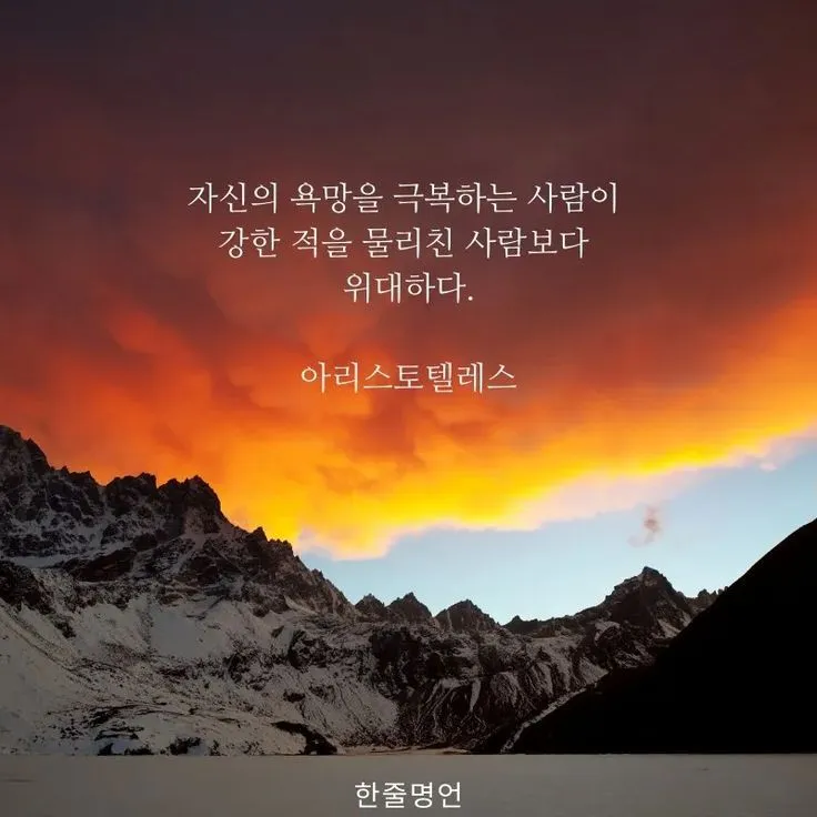 아리스토텔레스의 명언 인내는 쓰고 열매는 달다 실천적 의미_4