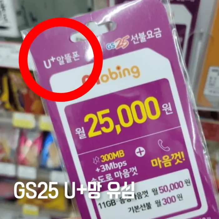 GS25 편의점 (4,400~8,800원)