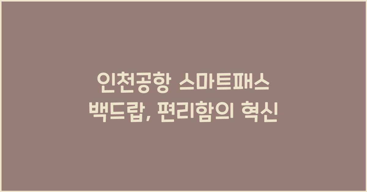 인천공항 스마트패스 백드랍
