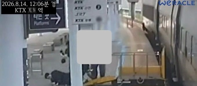 박위 구독자 100만 붕괴, KTX 낙상 사고 영상 공개 후 논란과 영향 분석 참고 이미지 2