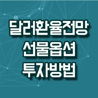 달러 환율 전망 그래프 파악하기_9