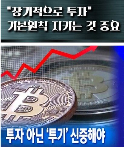 투자의 기본원칙 준수