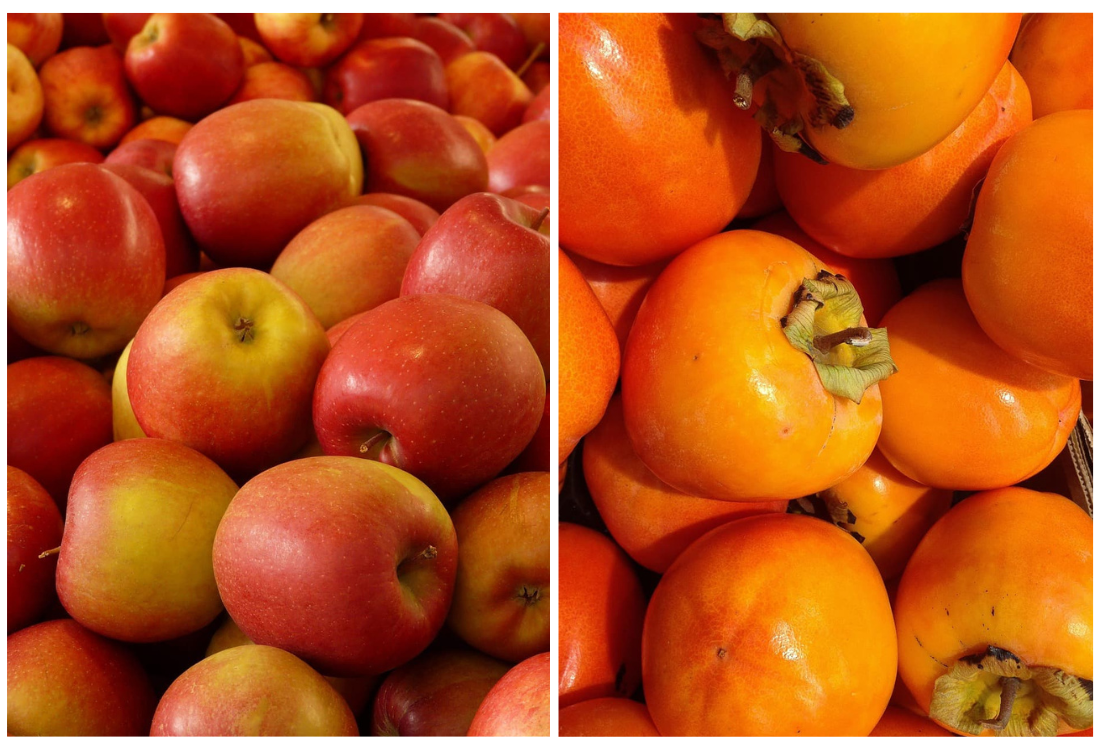 가을 제철 음식 완전정복, 효능부터 레시피까지