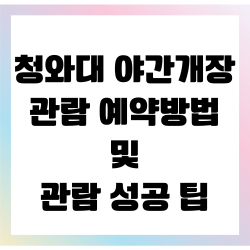 청와대 야간관람