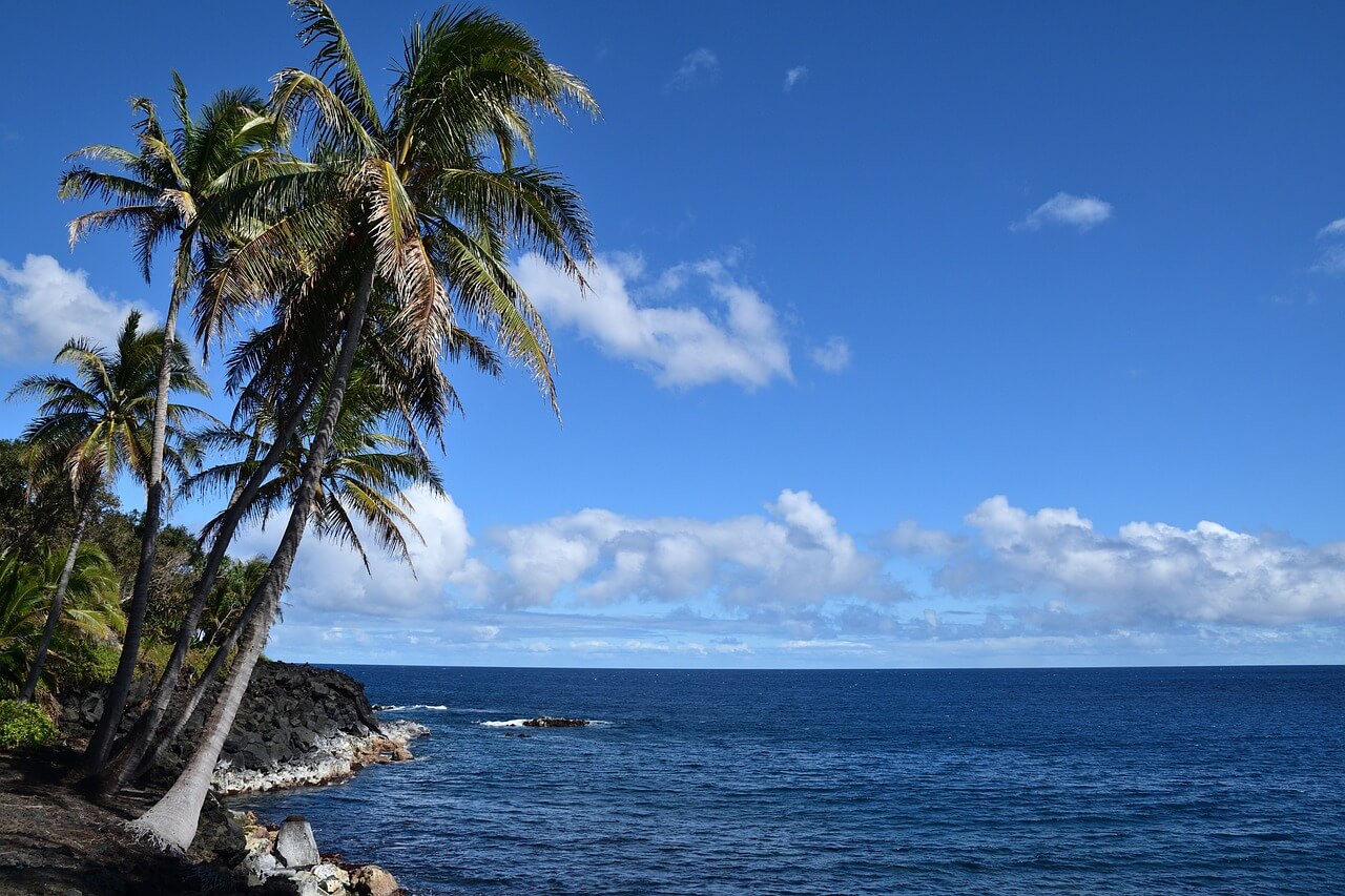 하와이(Hawaii) 해변 사진