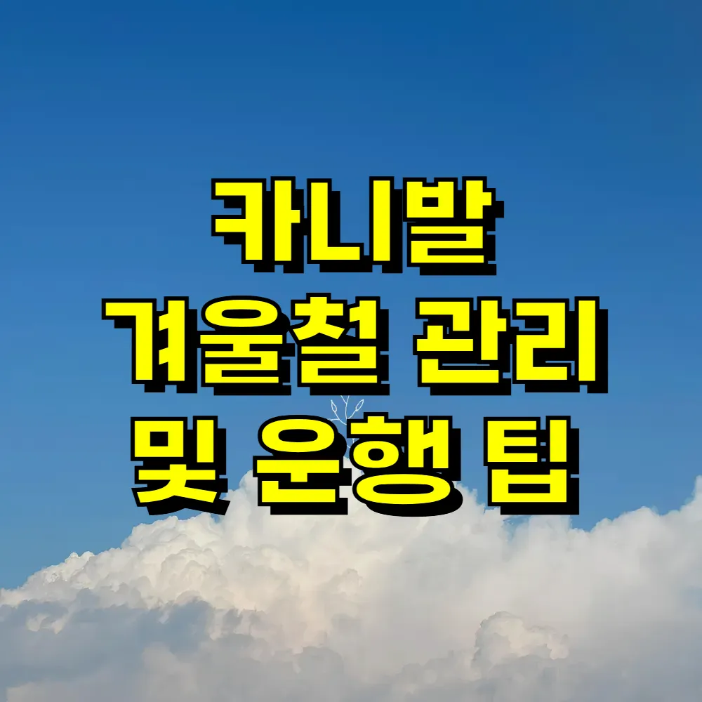 카니발 겨울철 관리 및 운행 팁