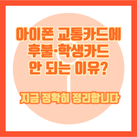 아이폰 교통카드에 후불·학생카드 안 되는 이유? 지금 정확히 정리합니다