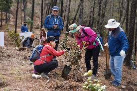2024 땅끝해남 달마고도 힐링축제 기본일정과 특징 소개