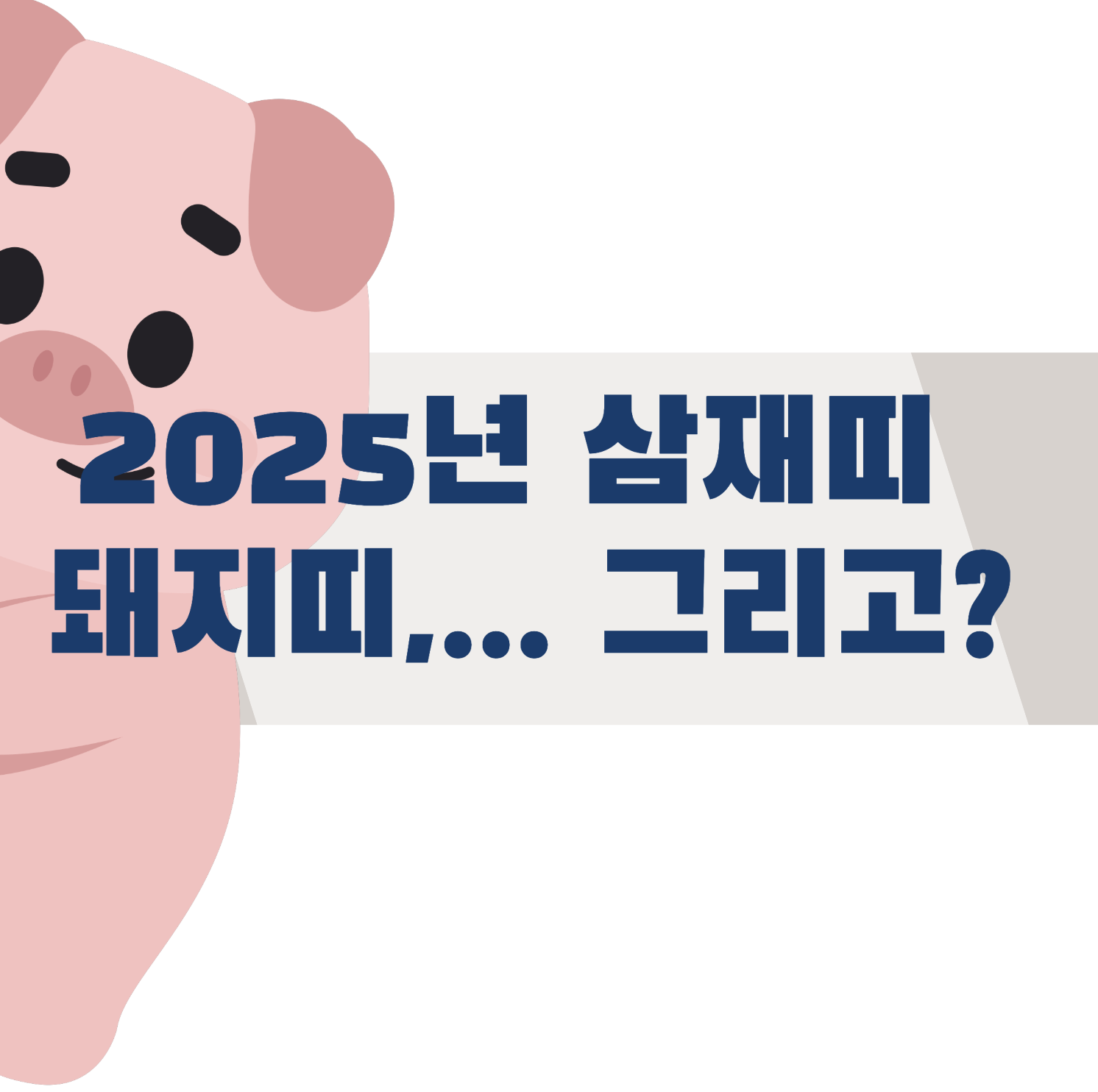 2025 삼재띠