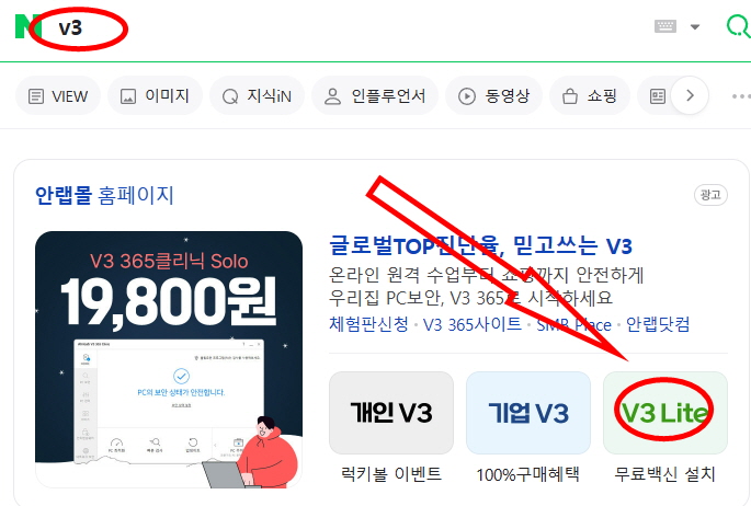 V3 사이트