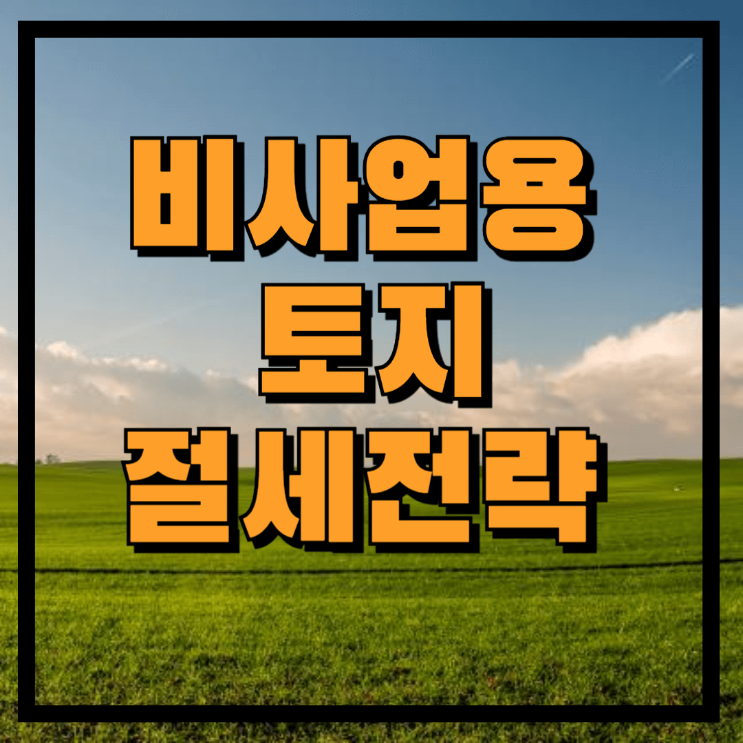 비사업용 토지 절세전략, 푸른하늘 흰구름 푸른 벌판