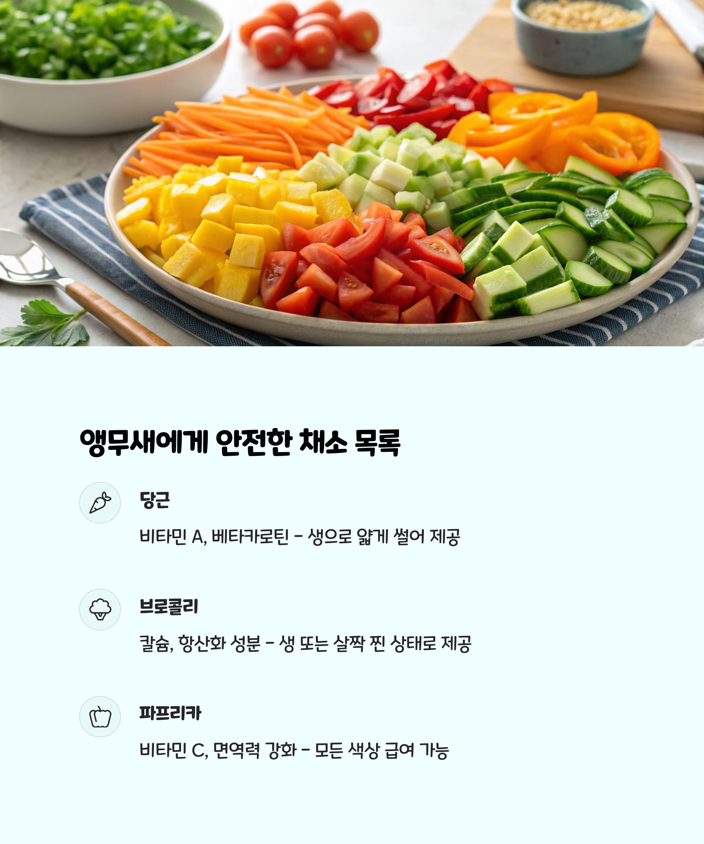 채소명 급여 방법 영양 효과