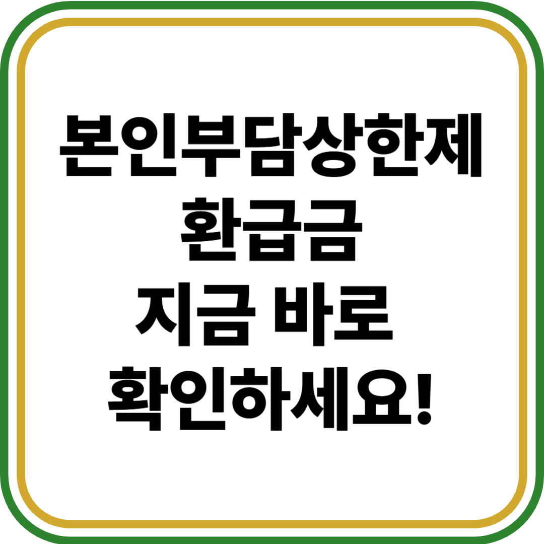 본인부담금상한제