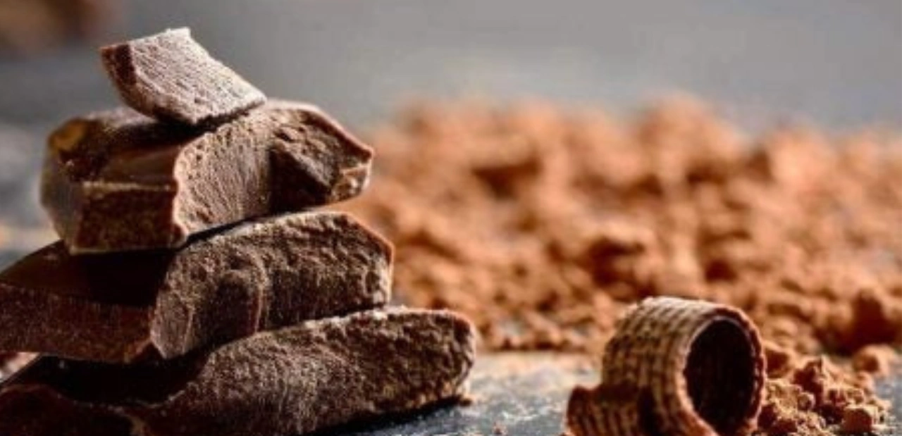 ๋คํฌ ์ด์ฝ๋ฆฟ-์นด์นด์ค ํจ๋